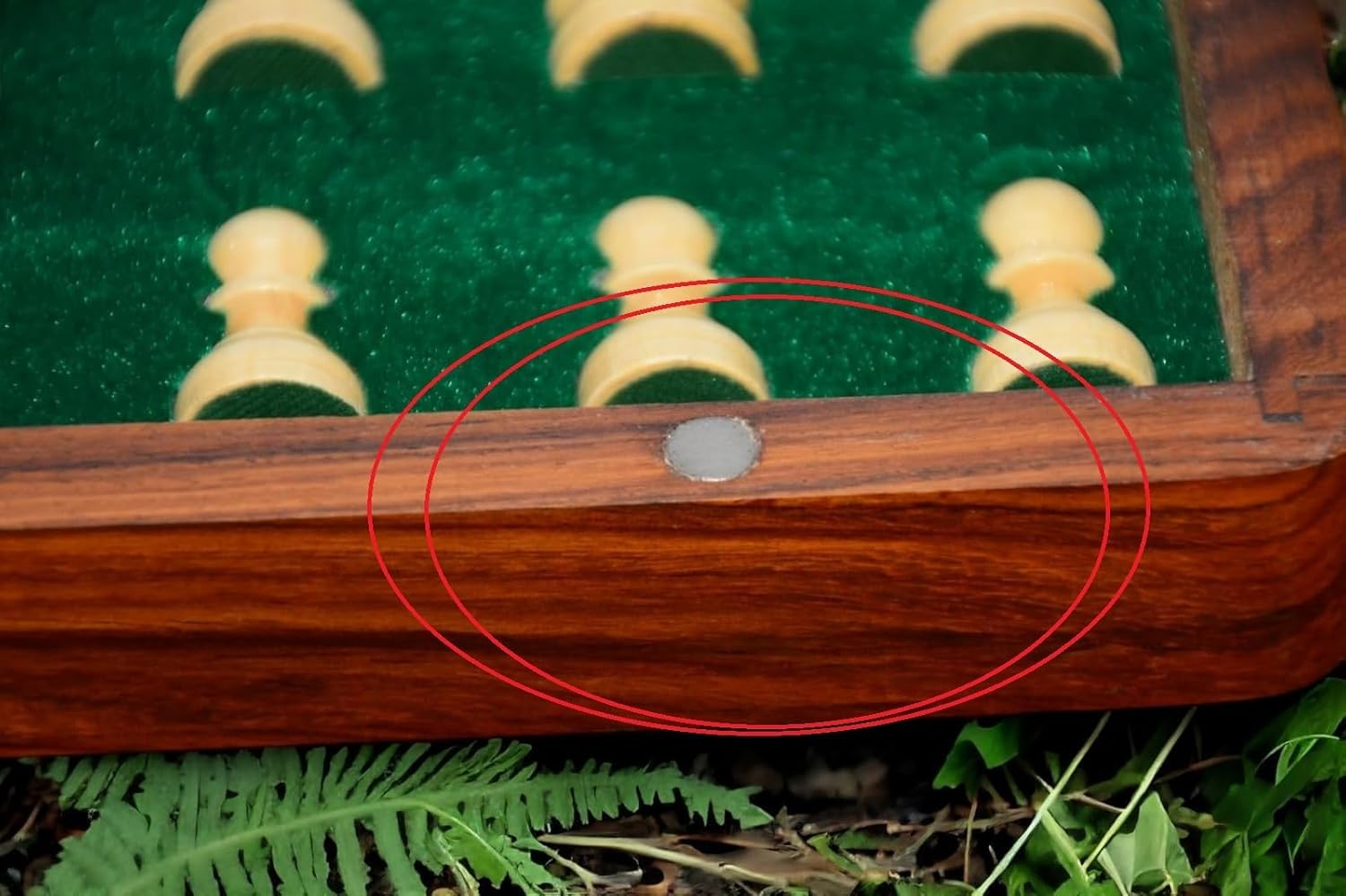 719R5oiPYhL._SL1500_